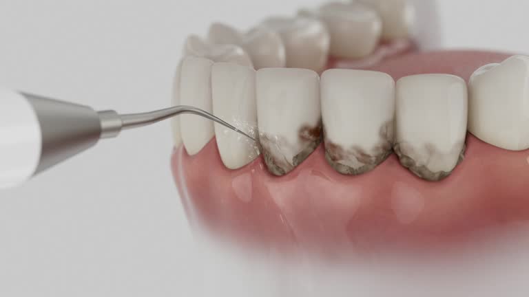 Reliable Dental contractor in Forest Hills, TN by Dentist Open Now